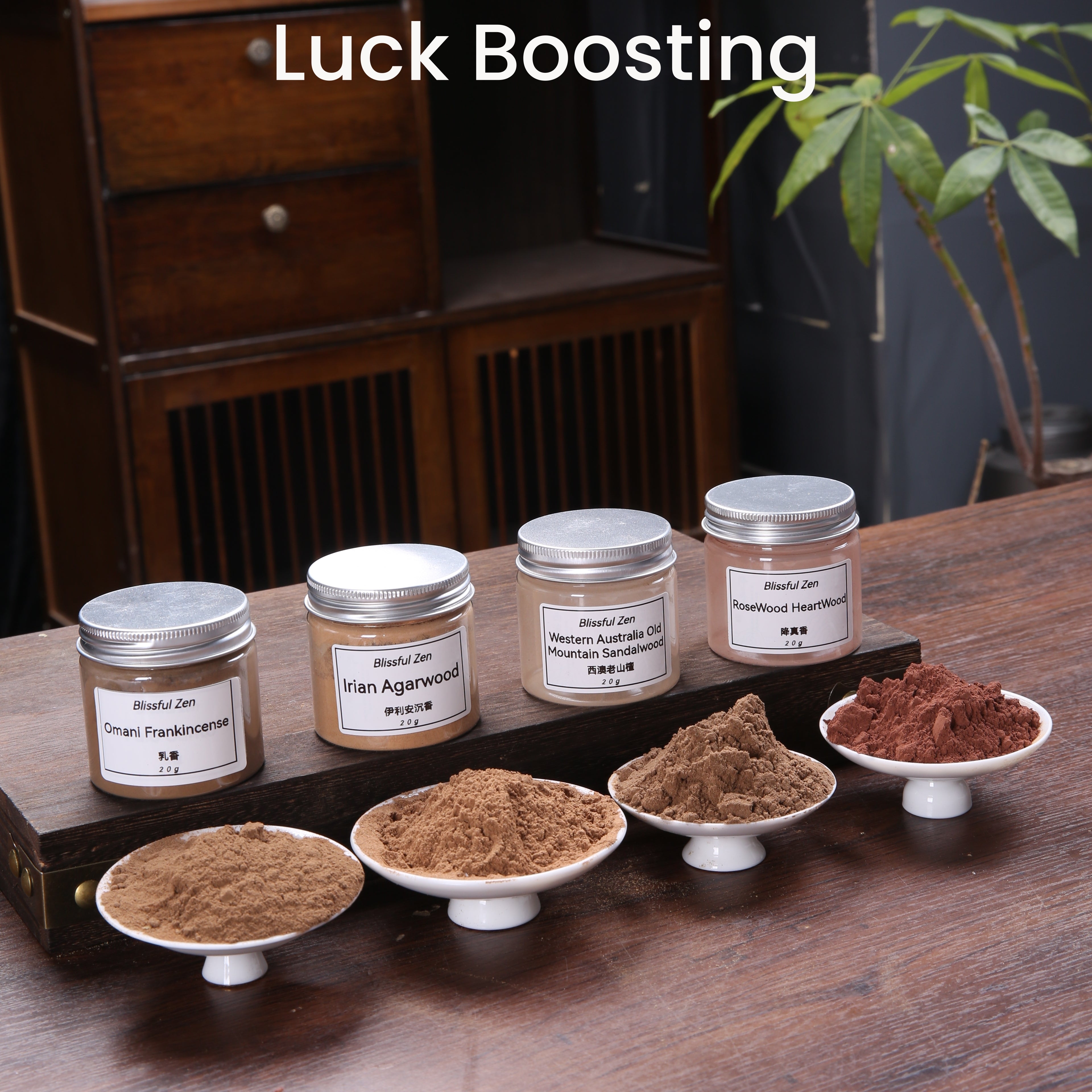 Incense Powder Seals 4-Pack – Relaxation, Meditation, Stress Relief &amp; Good Fortune - Blissful Zen